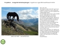 Folie11