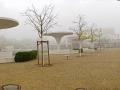 Panorama 2_5_geschärft-1_web_7