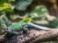 DSCF5627