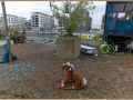 HafengartenOffenbach_Thorer_001