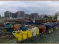 HafengartenOffenbach_Thorer_002