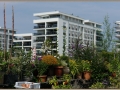HafengartenOffenbach_Thorer_004