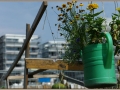 HafengartenOffenbach_Thorer_007