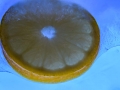 HGF_4666-b