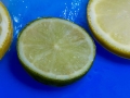 HGF_4675-b