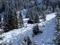 DSCF4183