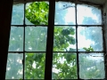 DSCF4725