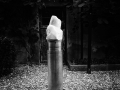 SkulpturengartenNr_0001_ex_L1004376NC