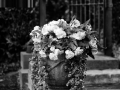 SkulpturengartenNr_0003_ex_L1004408NC