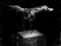 SkulpturengartenNr_0004_ex_L1004352NC