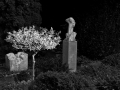 SkulpturengartenNr_0005_ex_L1004397NC