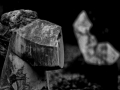 SkulpturengartenNr_0006_ex_L1004403NC