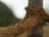 Wege zum Foto
