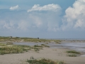 MG-170919-MD-04