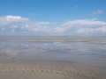 MG-170919-MD-05