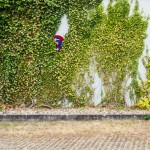 Theo Jansen_8110399