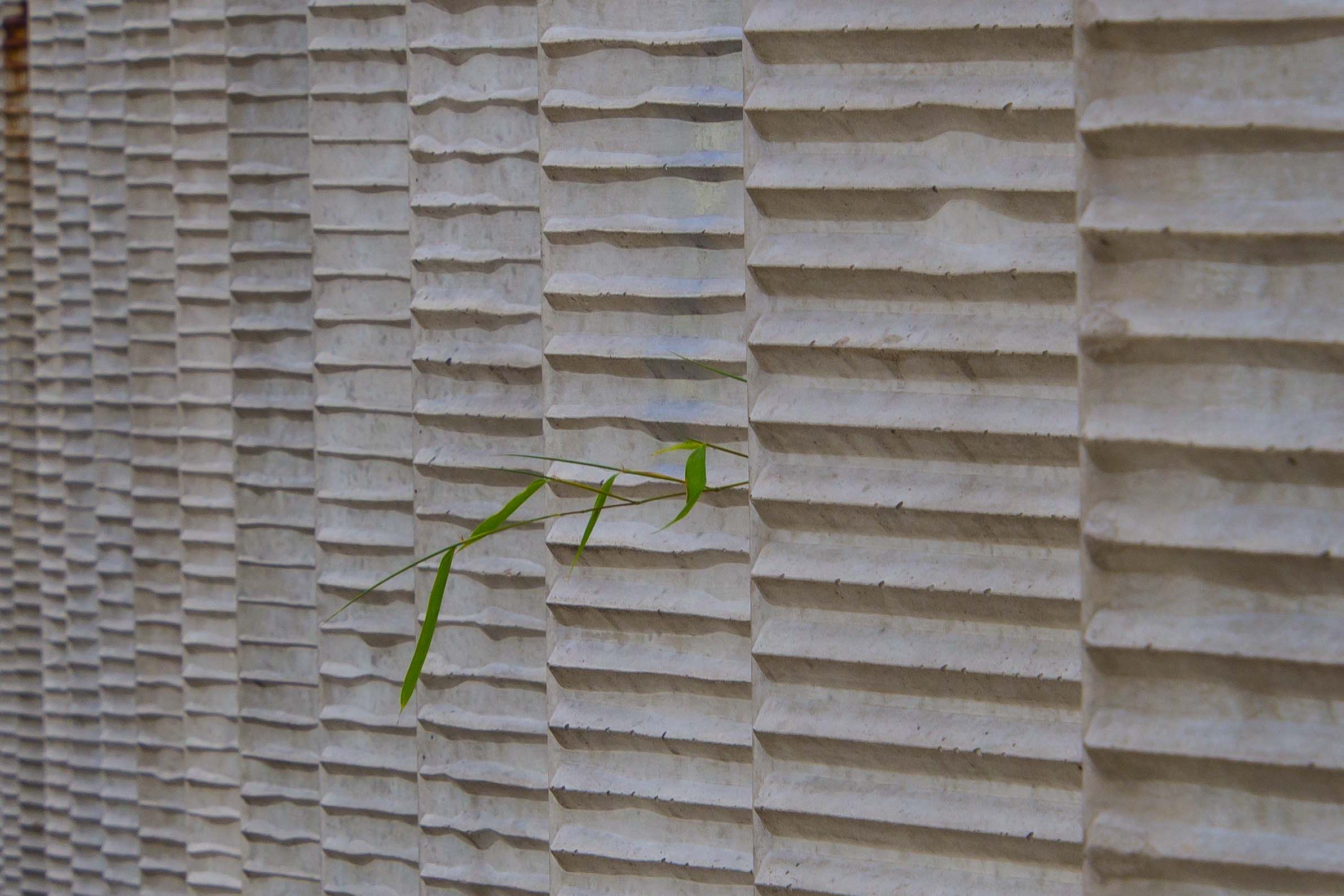 Natur und Architektur      (Serie)